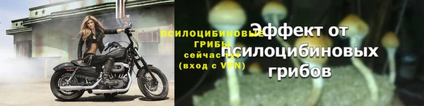 первитин Богданович