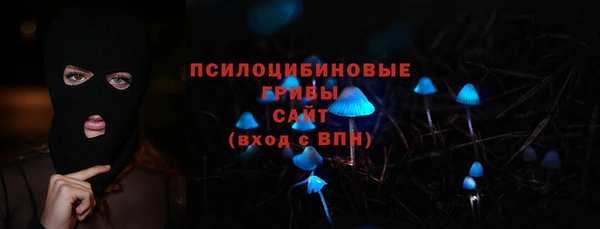 СК Богородицк