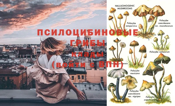 амф Белоозёрский
