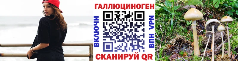 OMG как зайти  Хотьково  Галлюциногенные грибы мицелий  продажа наркотиков 